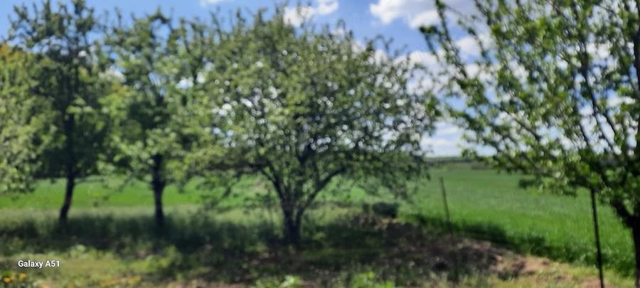 Casă cu Teren 12200 Mp în Cârlig