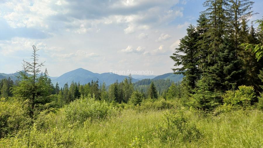 Teren in judetul Suceava, comuna Pojorata