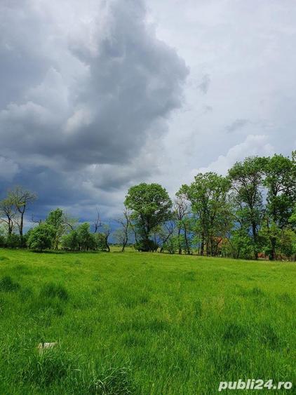 Teren în Dragșina