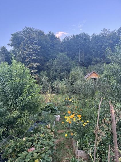 Casă cu 3 camere în Bălilești