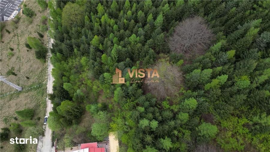 Teren de 6500 mp, în Bunloc