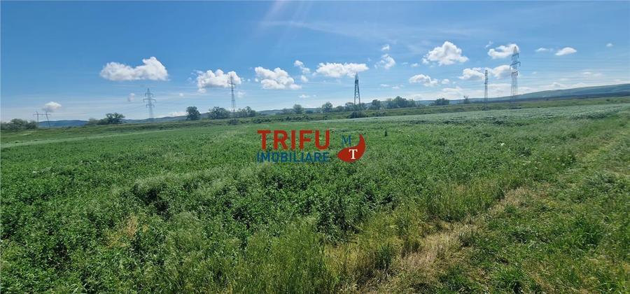 Teren agricol extravilan de 5000 mp, în Ampoi 1