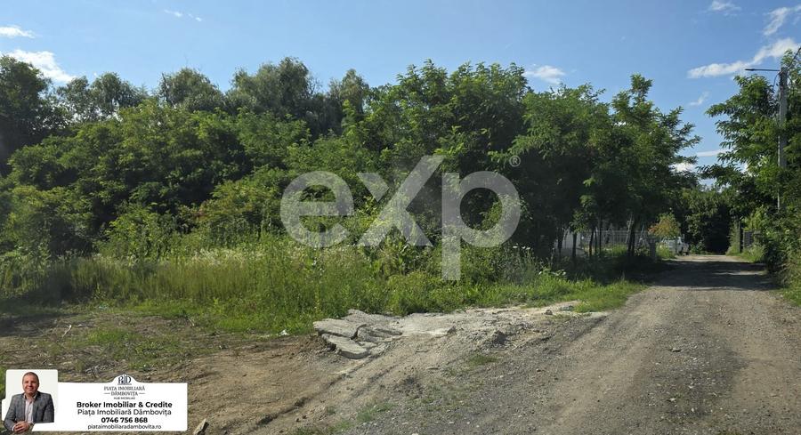 Teren Construcții intravilan de 670 mp, în Viforâta
