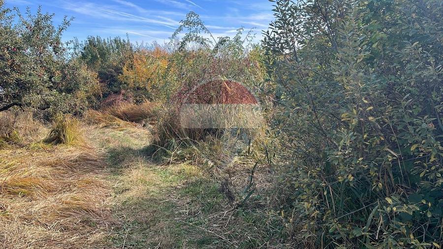 Teren agricol extravilan de 2900 mp, în Gheorghieni
