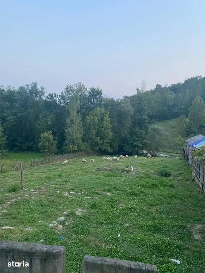 TEREN DE VANZARE 1.688 MP| SULTANU | VISINESTI | DEALURILE SULTANULUI - 4