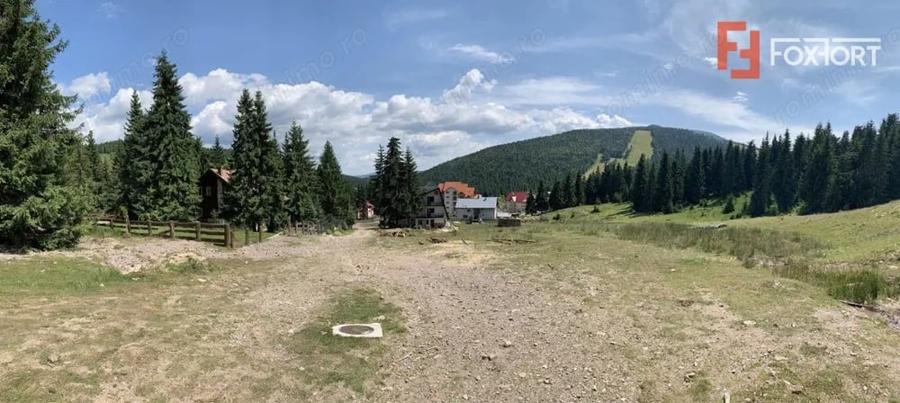 Teren de 1002 mp, în Arieșeni