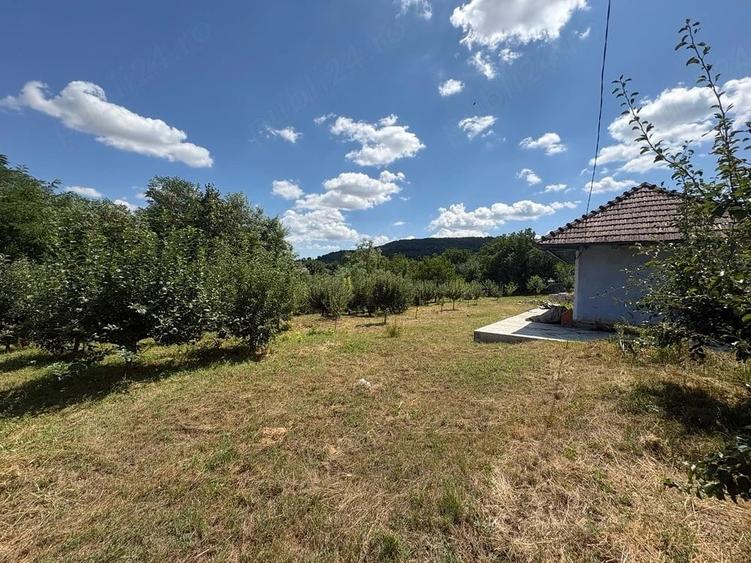 Teren de 1400 mp, în Răducăneni