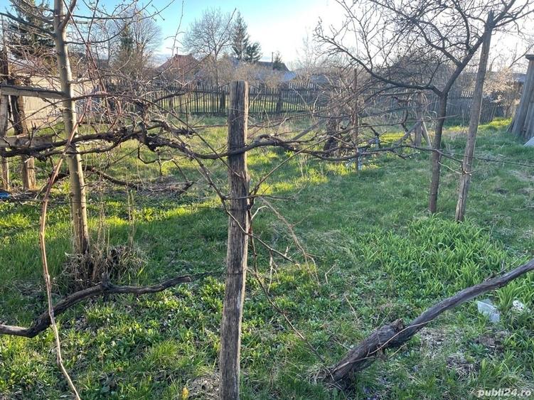 Casă cu 4 camere cu Teren 815 Mp în Târgu Neamț