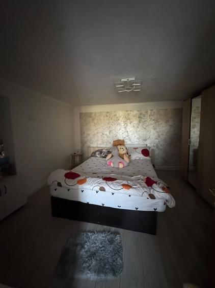 Casă individuală cu 4 camere cu Piscina în Podari