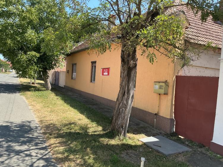 Casă individuală cu 3 camere cu Teren 3300 Mp în Central