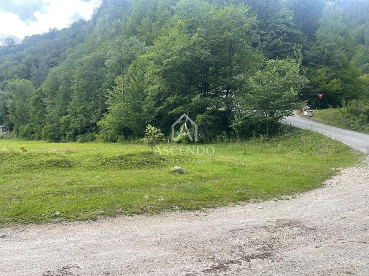 Teren Construcții intravilan de 4500 mp, în Dâmbovicioara