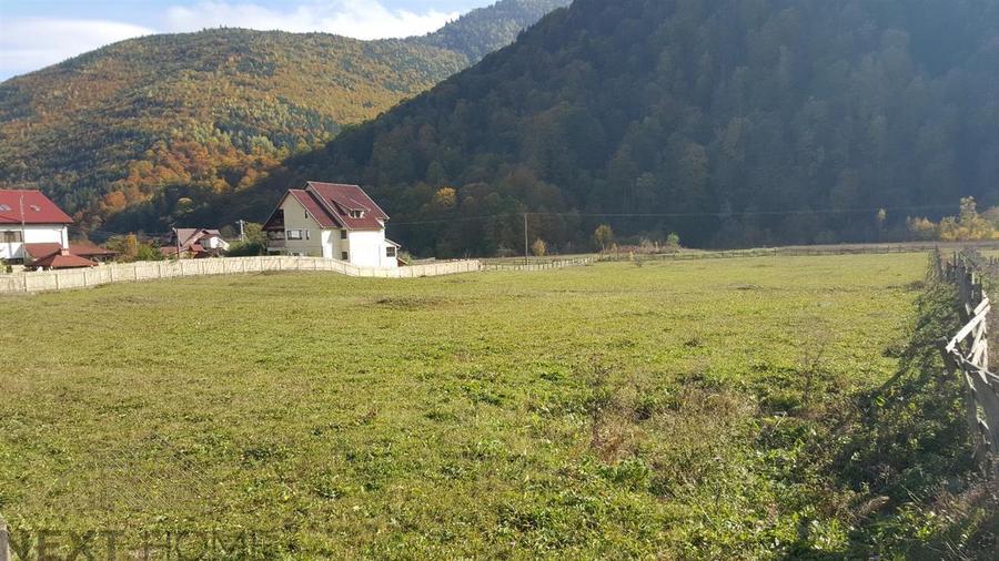 Teren intravilan de 6025 mp, în Lepșa