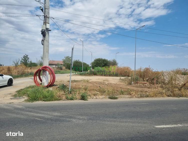 Teren de 10000 mp, în Cernica