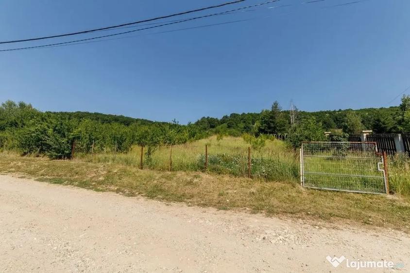 Teren intravilan ?tefane?ti Valea Mare Podgoria - 6