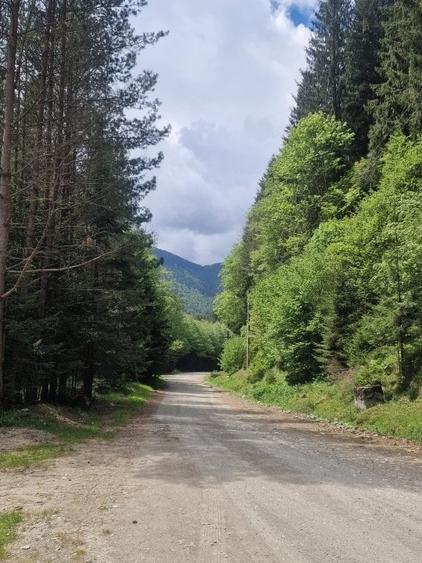 Teren Construcții intravilan de 1775 mp, în Sătic