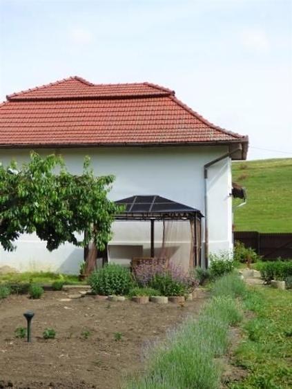 Casă cu 3 camere decomandat în Exterior Vest