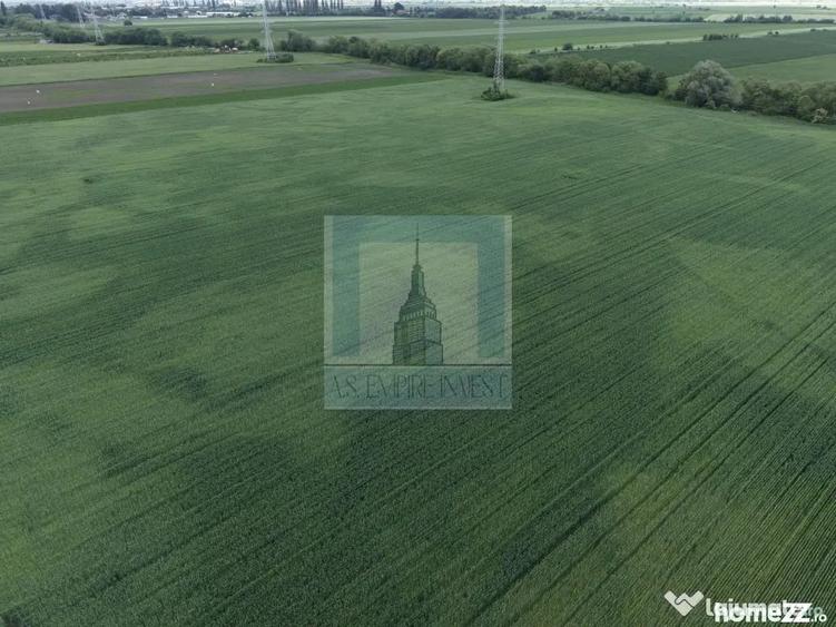 Teren de 50000 mp, în Hălchiu