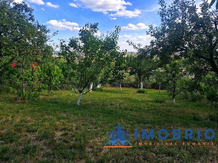 Casă cu Teren 429 Mp în Central