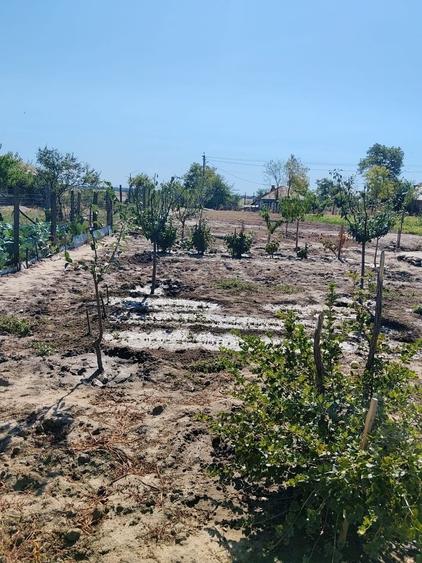 Casa de vanzare , 4 camere, 2 holuri - 1