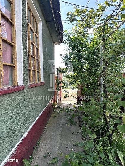 Casa cu anexe si pivni?a | Teren intravilan generos | Sannicolau Roman - 8
