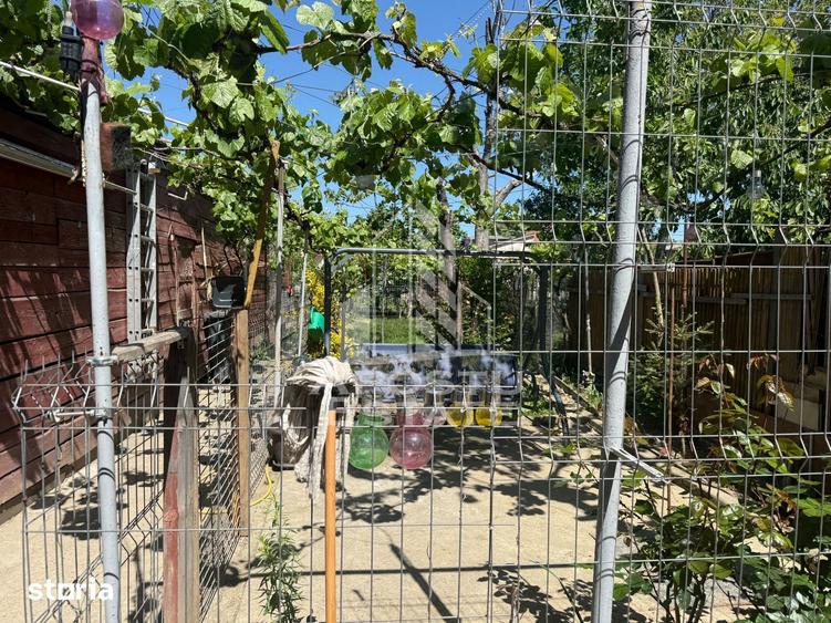 Casă cu 7 camere cu Teren 360 Mp în Buziașului