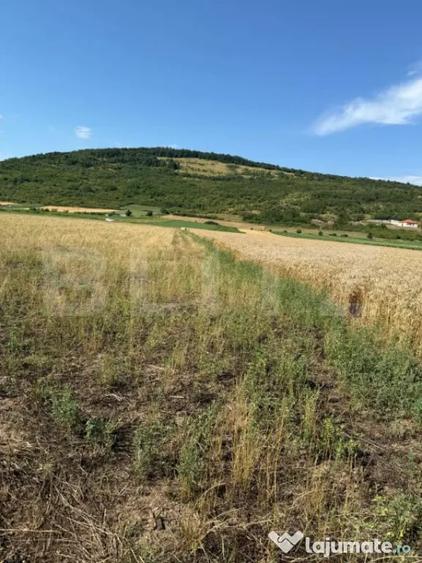 Teren de 2000 mp, în Șoimuș