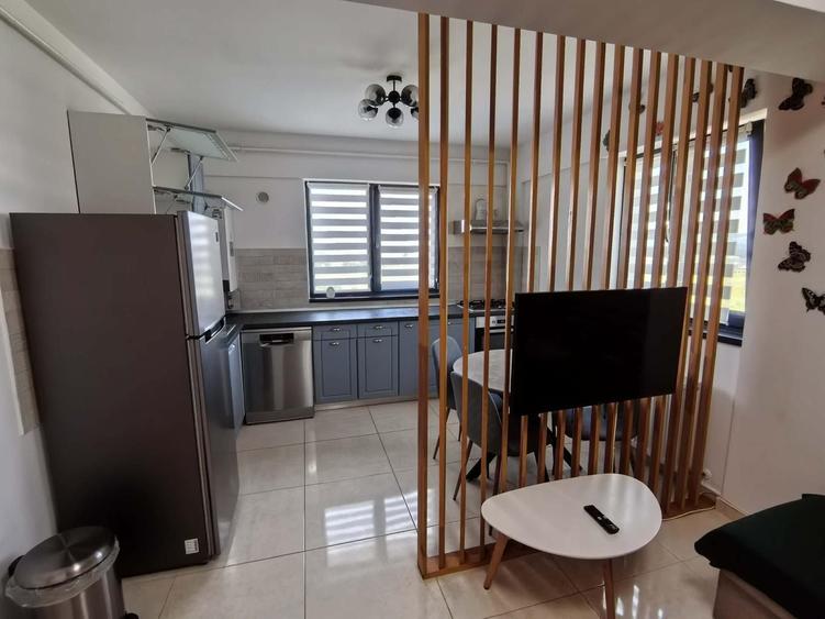 Apartament de inchiriat, zona pepinierei - 8