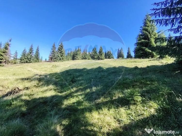 Teren de 47732 mp, în Panaci