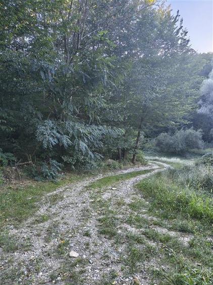 Teren agricol intravilan de 1000 mp, în Cisnădioara