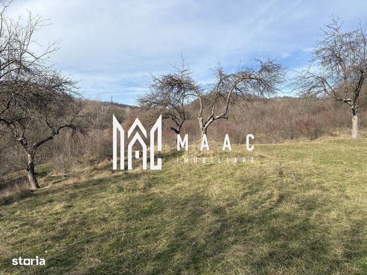 Spațiu comercial, în Sud