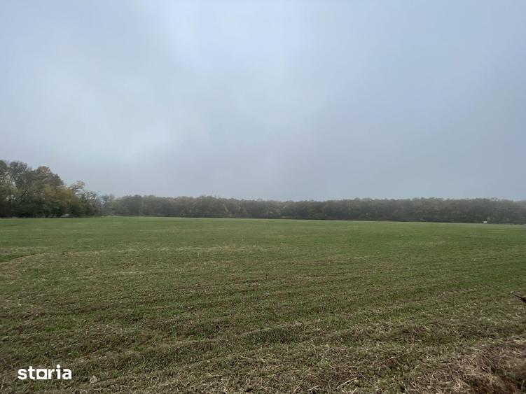 Teren de 9400 mp, în Tunari