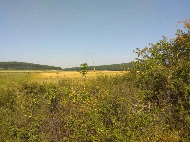 Teren de 5800 mp, în Suseni