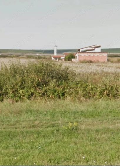 Teren de 10000 mp, în Izvin
