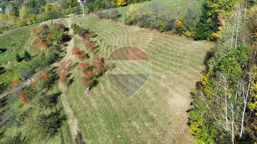 Teren agricol intravilan de 3000 mp, în Sohodol