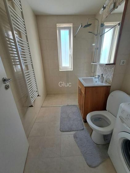Inchiriez apartament 1 camera Selimbar,Pictor Brana