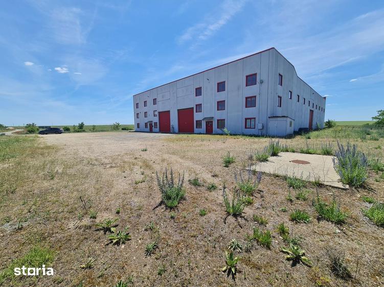 Spațiu comercial, de 40,000 mp, în Șagu