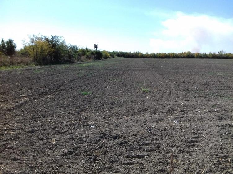 Teren Construcții intravilan de 120000 mp, în Est