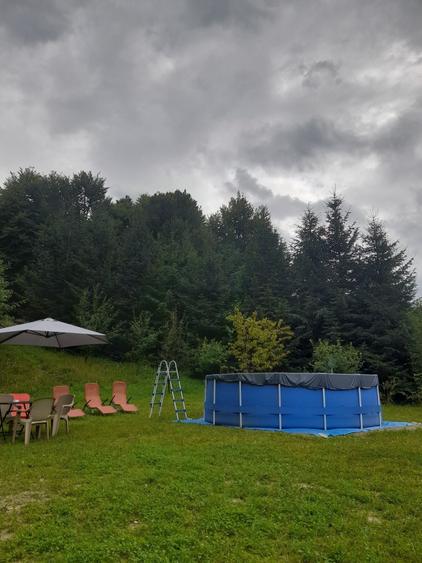 Casă cu 4 camere cu Teren 5000 Mp în Arpașu de Sus