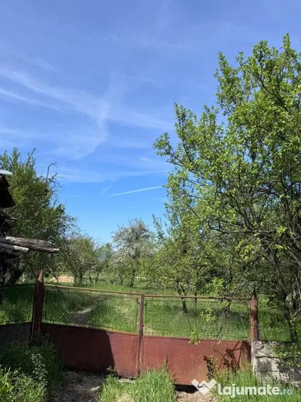 Casă cu 5 camere în Central