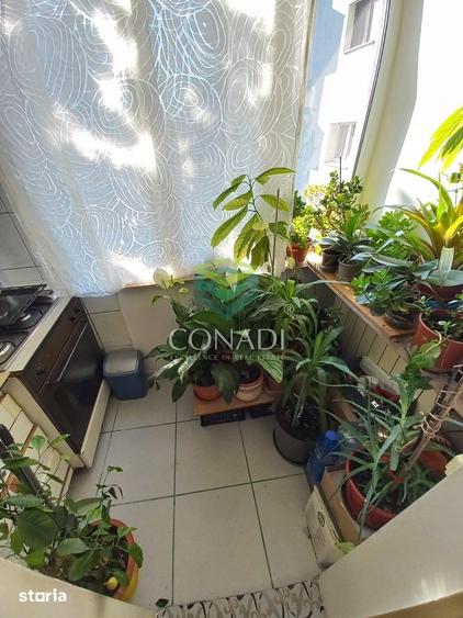 Apartament cu 2 camere decomandat în Băneasa