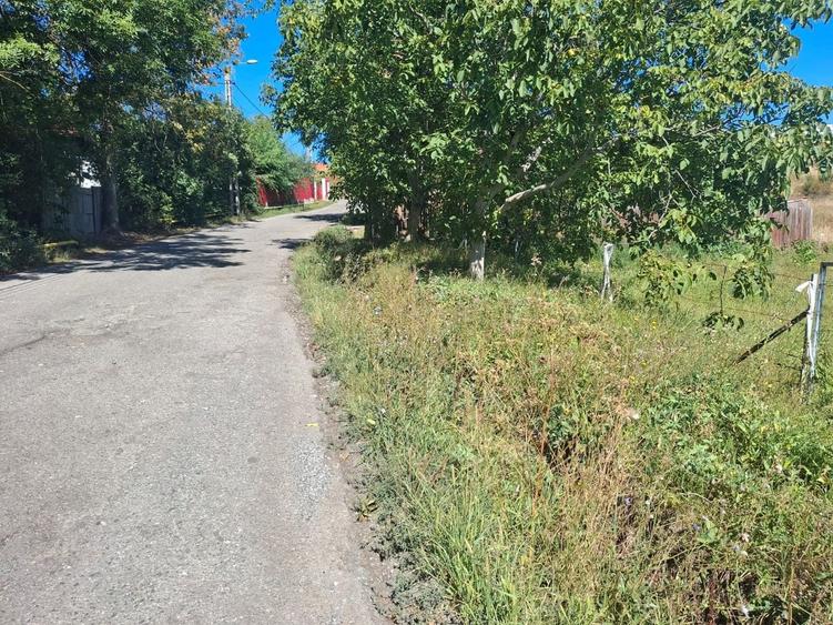 Teren Construcții intravilan de 887 mp, în Gheorgheni
