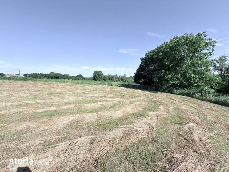 Casă cu 2 camere cu Teren 3600 Mp în Vlădeni