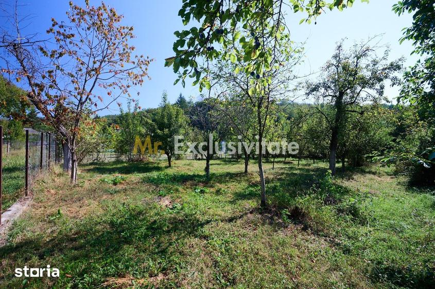 Casă cu 4 camere cu Teren 1586 Mp în Coșești