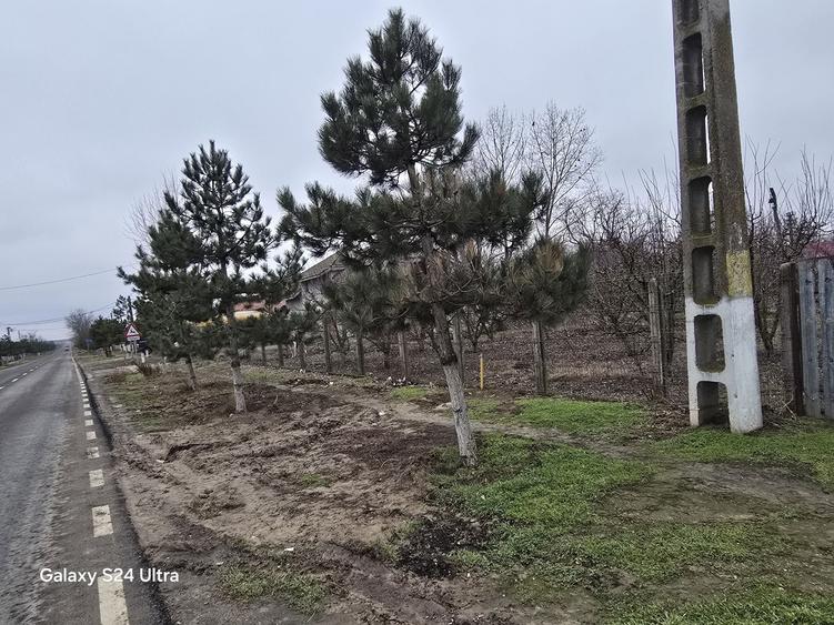 Spatiu de vanzare - 4