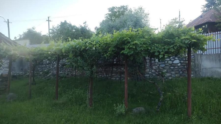 Casă cu 3 camere în Sud