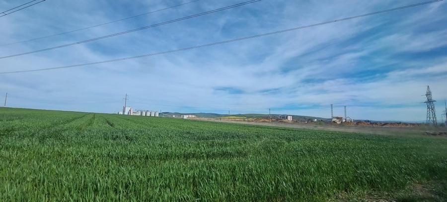 Teren agricol extravilan de 8500 mp, în Reci