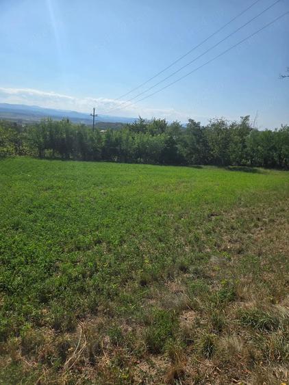 Teren de 2950 mp, în Central