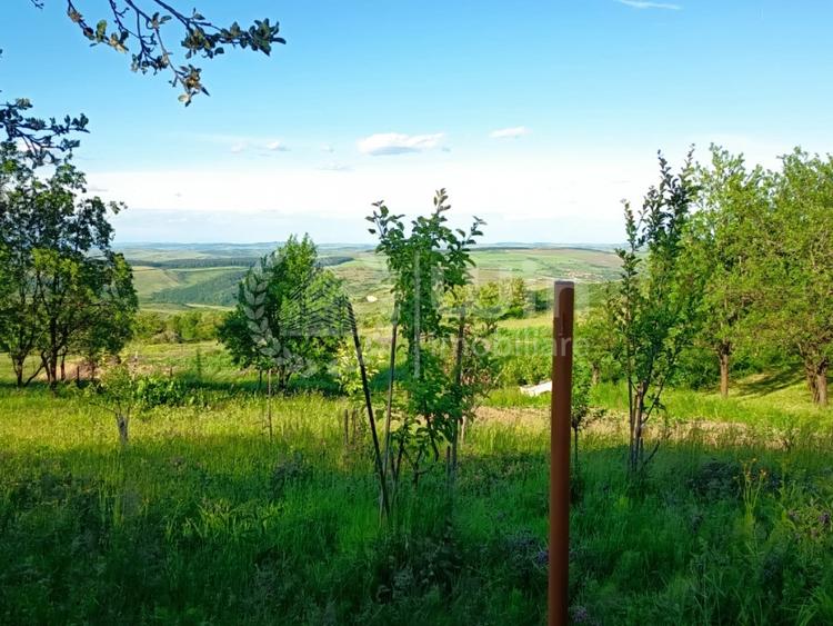 Teren Construcții intravilan de 1340 mp, în Gheorghieni