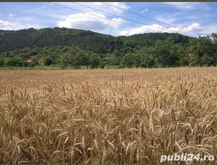 Teren de 5000 mp, în Racâș