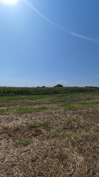 Teren agricol sau zona agrement HALCHIU - langa Lacuri si Balastiera - 5